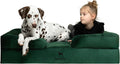 NOAH & PAW Large Dog Bed, Orthopedic Memory Cooling Foam (2X Base) 45x35x11