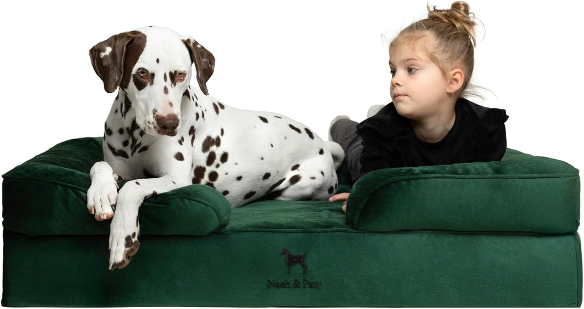NOAH & PAW Large Dog Bed, Orthopedic Memory Cooling Foam (2X Base) 45x35x11