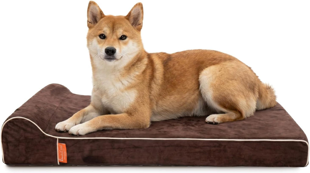 Laifug Orthopedic Dog Bed, Chocolate 40''x25''x5.5'', Memory Foam