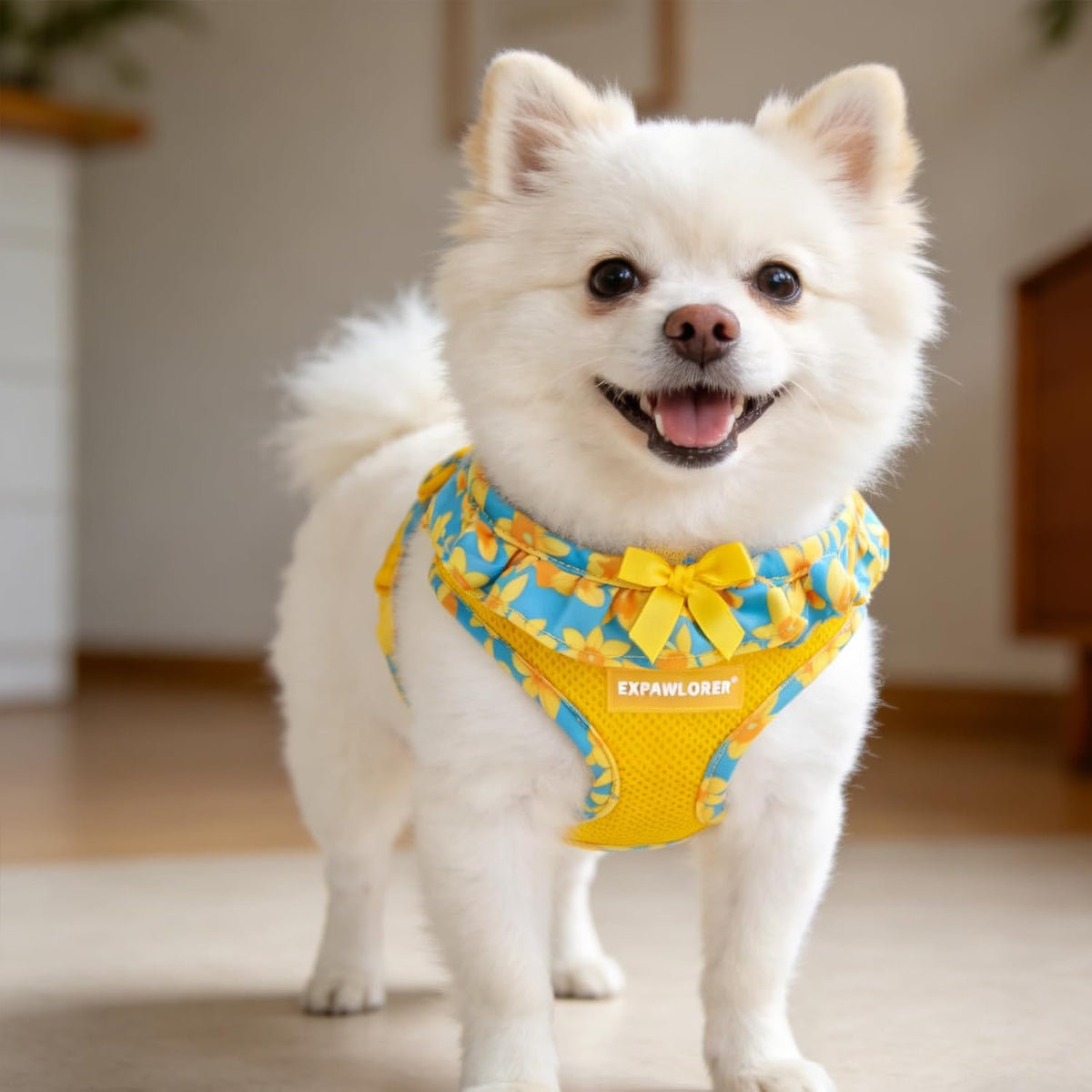 EXPAWLORER Step-in Small Dog Harness and Leash Set, Daffodil M