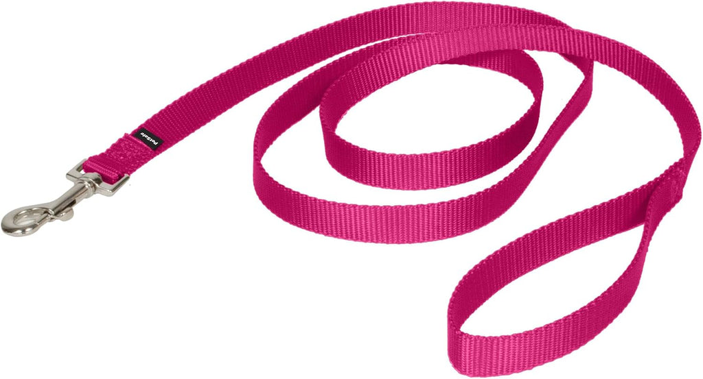 PetSafe Nylon Dog Leash - Strong, Durable, Traditional Style Leash with Easy to Use Bolt Snap - 3/4 in. x 6 ft., Deep Purple