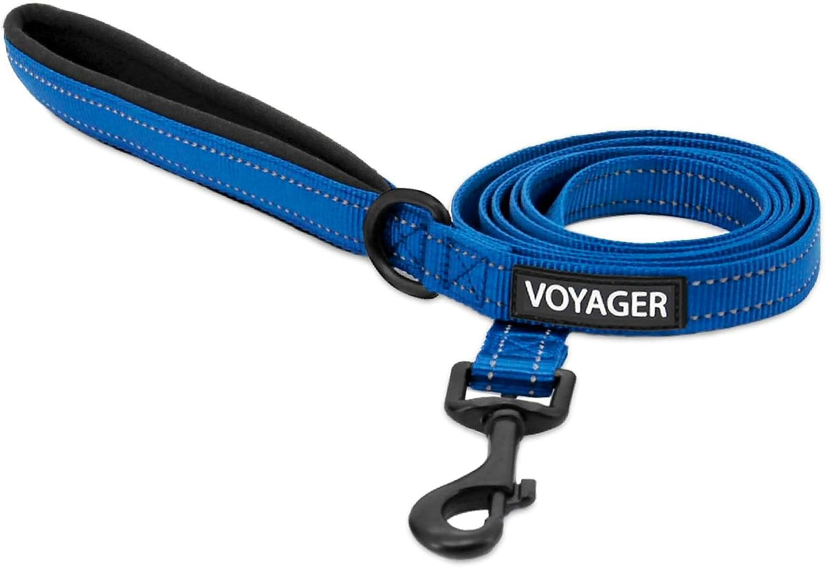 Best Pet Supplies Voyager Nylon Dog Leash - Royal Blue, Small