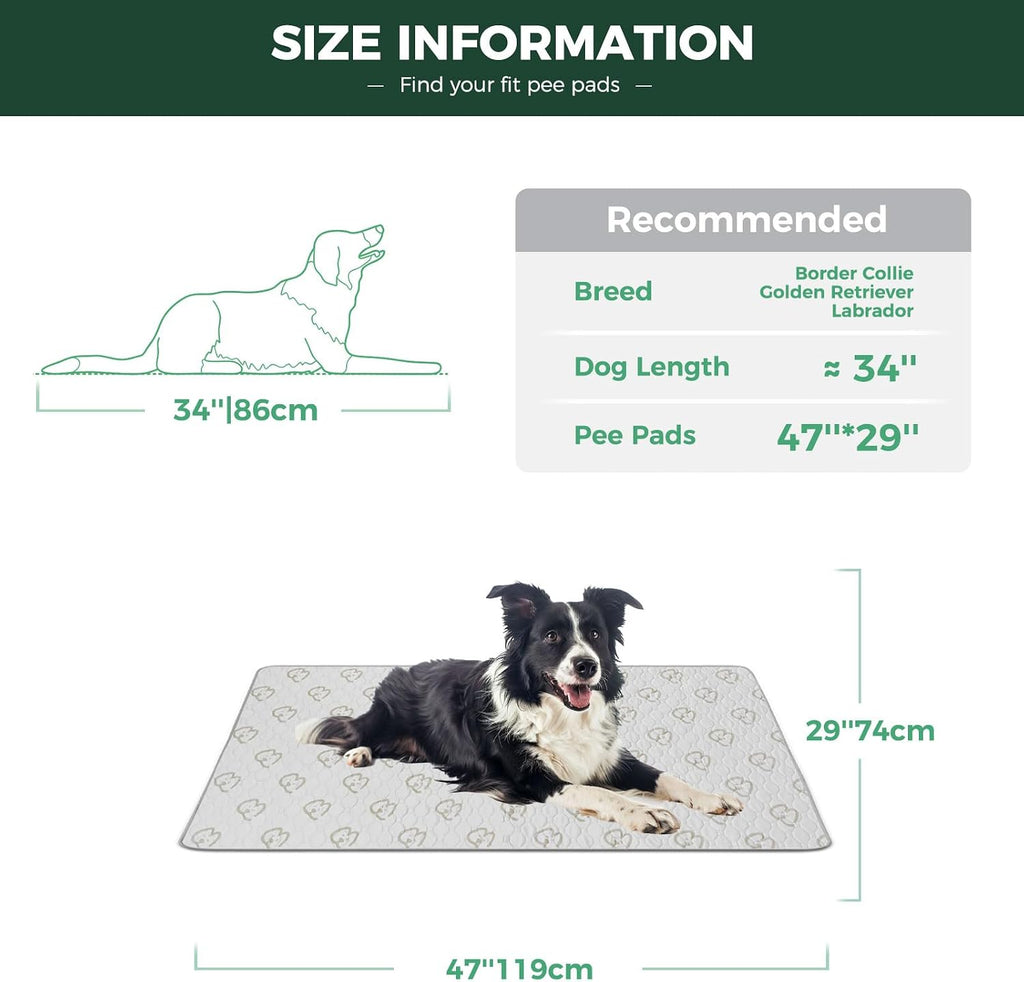 FXW Washable Pee Pads for Dogs, Super Absorbent, 29" x 47", 2 Packs | Machine washable, Non-slip backing