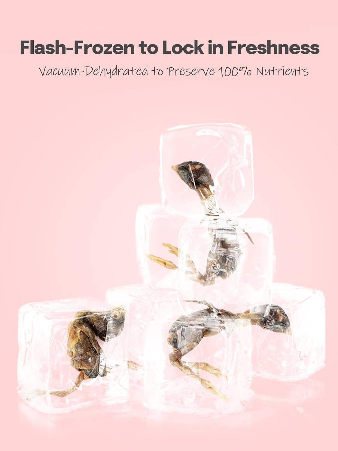 7OZ Freeze Dried Little Quail Treats for Dogs Cats