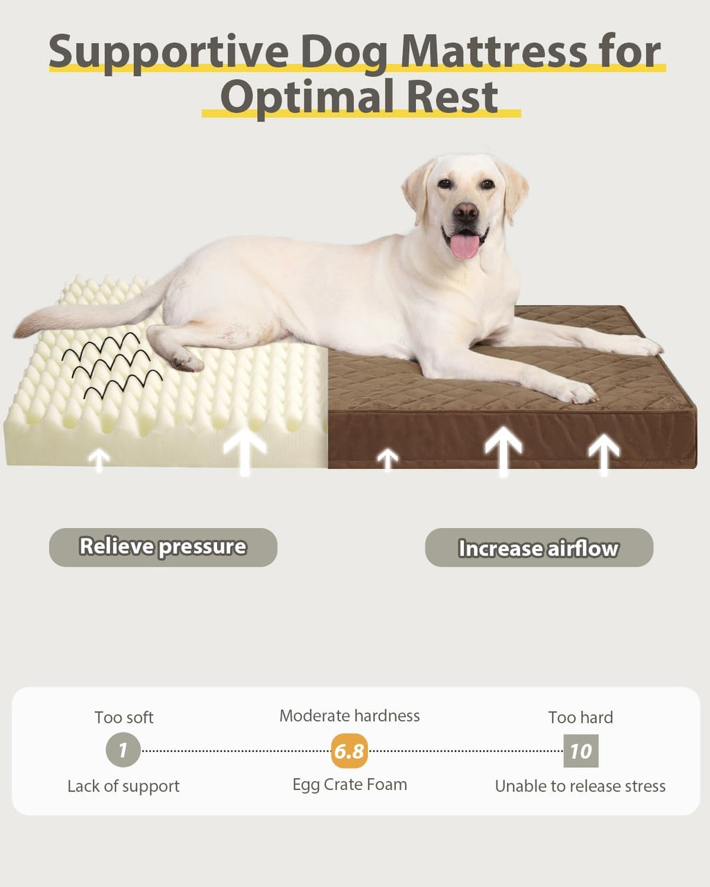 NUPIDA Orthopedic XXL Dog Beds for Crate with Washable Cover, 47x29, Brown