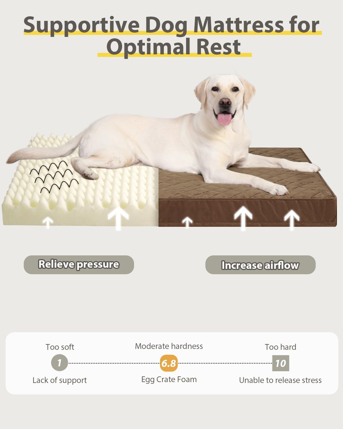 NUPIDA Orthopedic XXL Dog Beds for Crate with Washable Cover, 47x29, Brown
