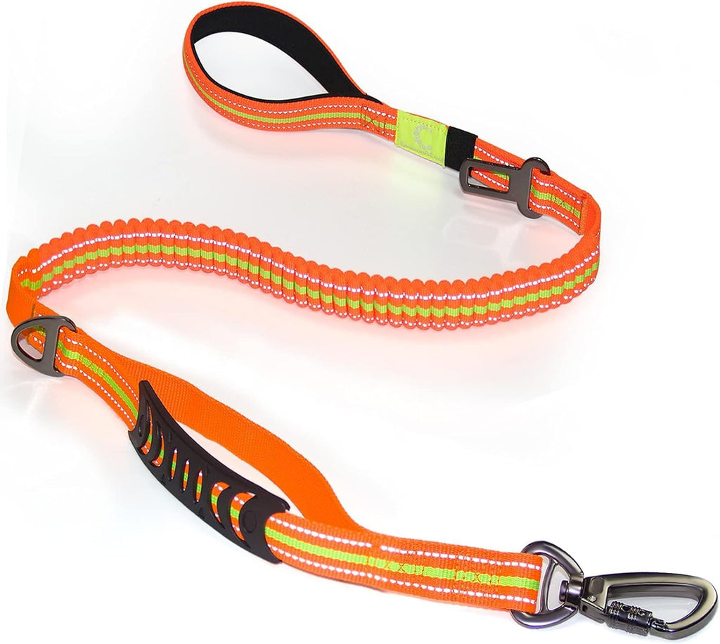 Heavy Duty Bungee Dog Leash with Locking Carabiner for Large Dogs