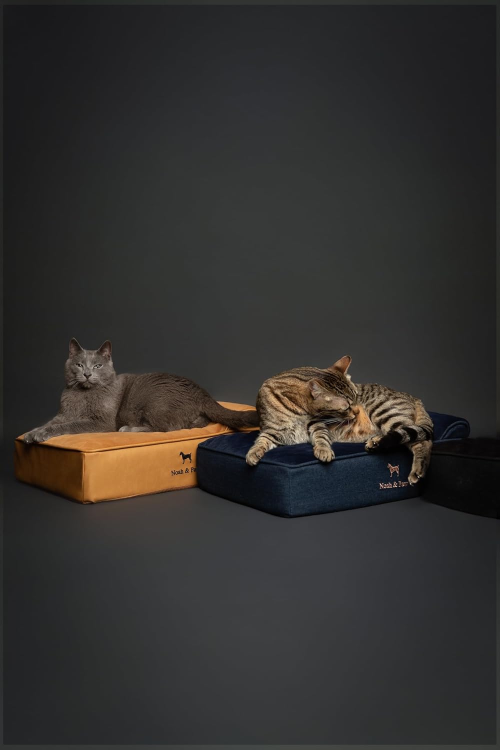 NOAH & PAW Small Cat & Dog Bed Orthopedic Cooling Memory Foam 20x15x6.5