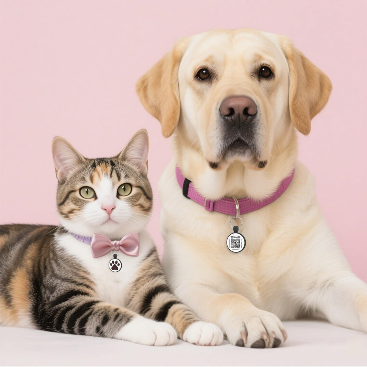 QR Code Cat Tag, Modifiable Pet Online Profile, Multiple Emergency Contact, Scannable QR Code, Instant Location Email Alert (Small Breeds - 1", Black & Rose & Purple)
