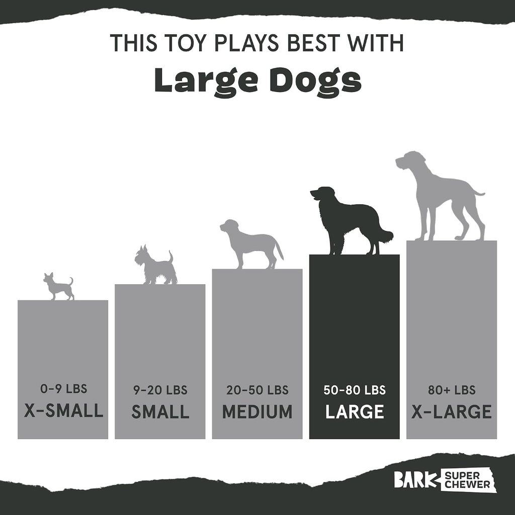 BarkBox Fowl Play Treat Dispensing Hard Core Plush Toy for Aggressive Chewers - Large