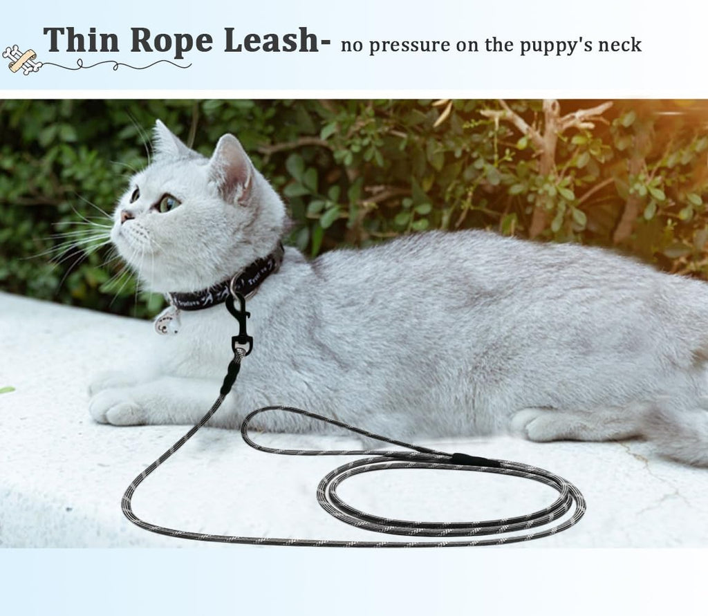 WYuZe Reflective XS Rope Dog Leash 6/10/15FT for Small Dogs Cat up to 15lbs