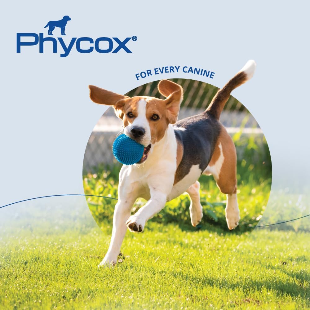 Phycox® Joint Supplement Soft Chews for Dogs, 60 Chews
