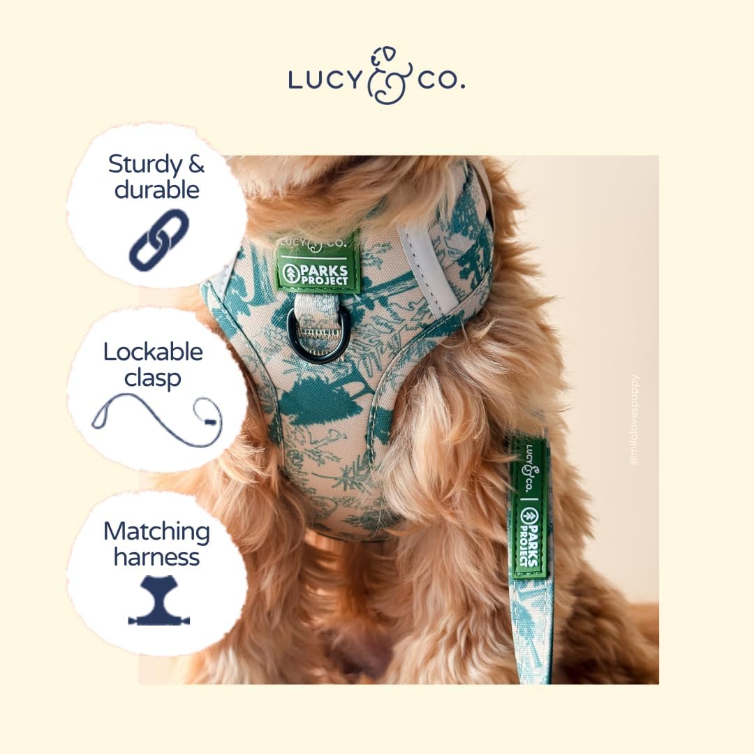 Lucy & Co. x Parks Project Sequoia Seedlings Dog Leash, S