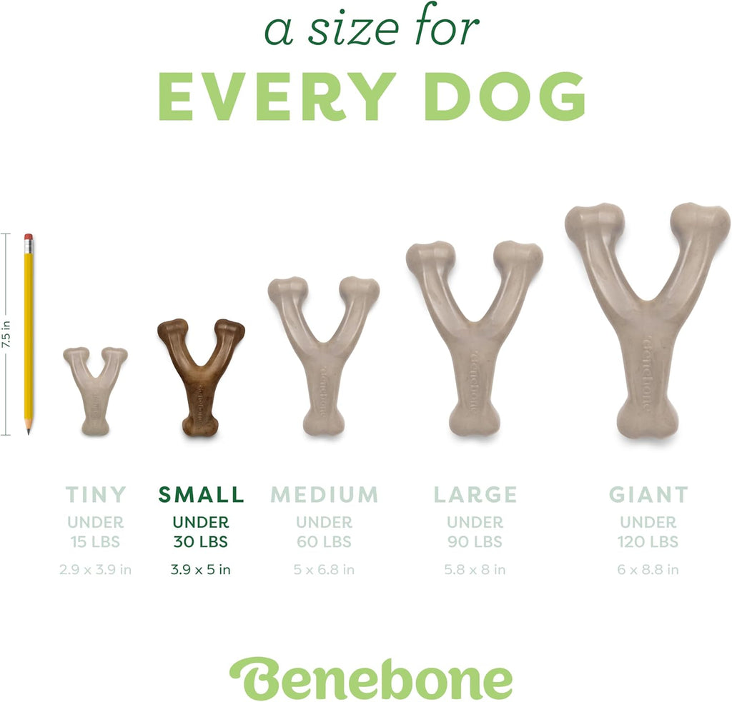 Benebone 2-Pack Wishbone Chew Toy for Aggressive Chewers, Real Bacon, Small | Durable, Multipack, Super Chewer, Made in USA, Dog Bones, Long-Lasting, A Size for Every Dog, Keeps Them Busy