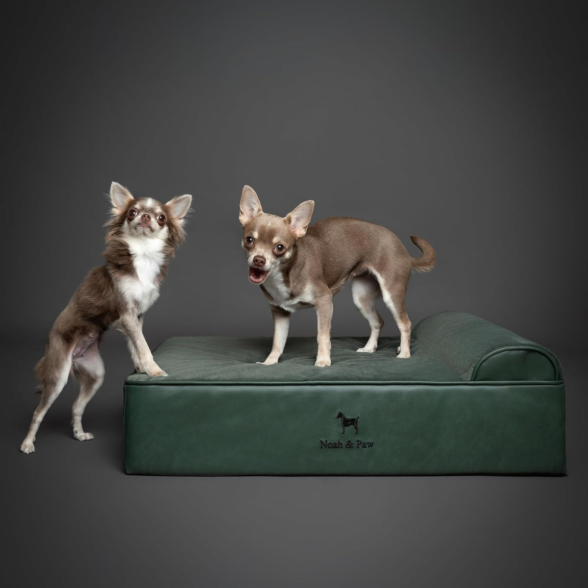 NOAH & PAW Medium Dog Bed Orthopedic Memory Foam Cooling Gel 28x23x7.5 in