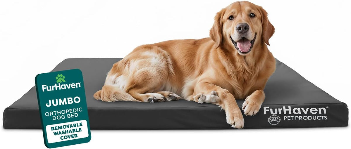 Furhaven Water-Resistant Orthopedic Dog Bed for Large Dogs w/ Removable Washable Cover, For Dogs Up to 95 lbs - Indoor/Outdoor Logo Print Oxford Polycanvas Mattress - Stone Gray, Jumbo/XL