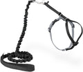 PetSafe Come with Me Kitty Harness and Bungee Cat Leash, Black, Small