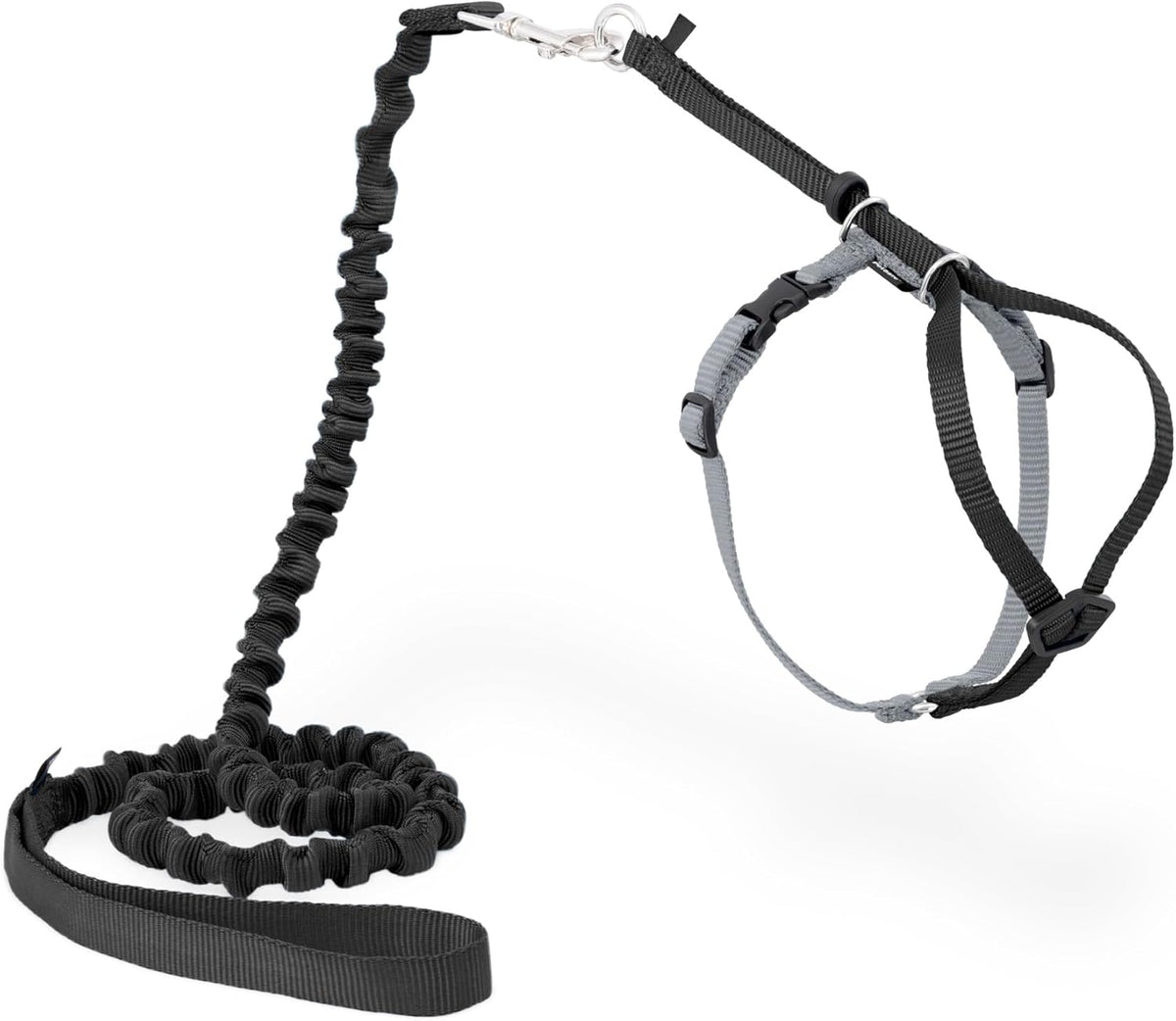 PetSafe Come with Me Kitty Harness and Bungee Cat Leash, Black, Small