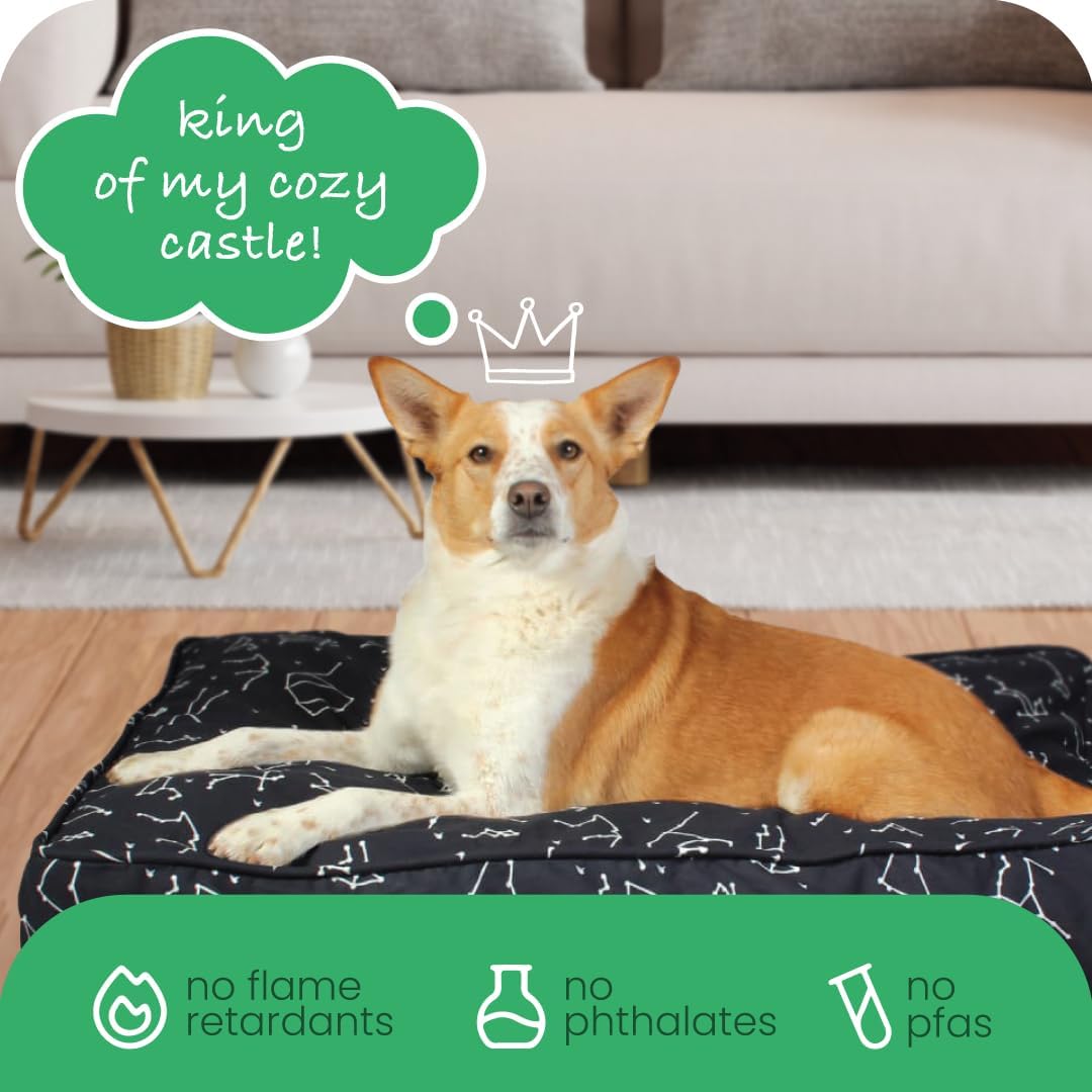 Molly Mutt Deep Blue Dog Bed Cover, Non-Toxic & 100% Cotton, 27"x36"x5"