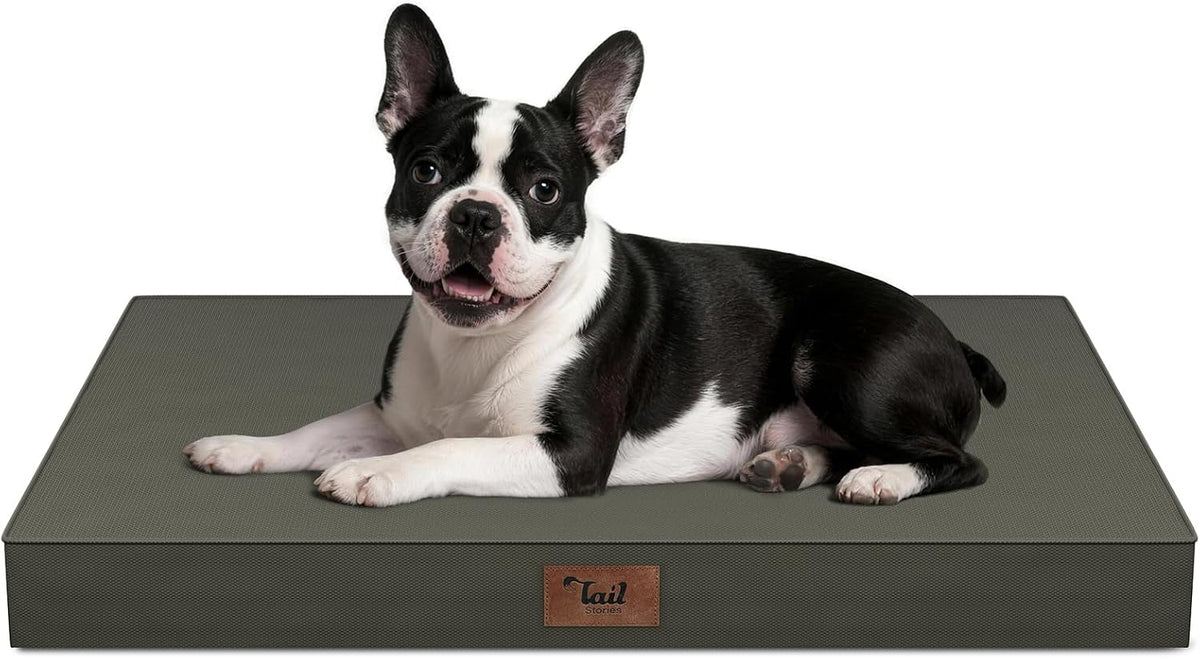 Orthopedic Waterproof Dog Bed for Small Dogs and Cats