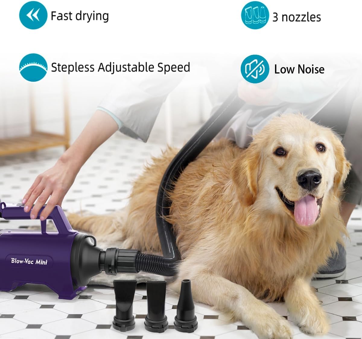 Dog Dryer High Velocity Pet Dog Grooming Force Hair Dryer/Blower | High velocity force blower dryer for professional dog pet grooming, purple sherbao SMD-06P 