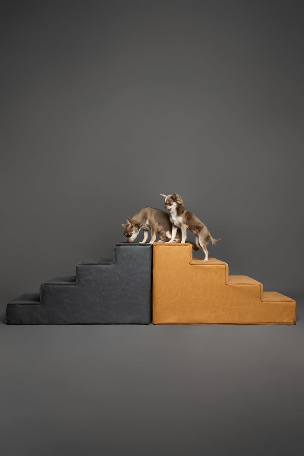 Noah & Paw Dog Steps for Bed, Up to 150lb, Extra Wide Dog Stairs for Bed