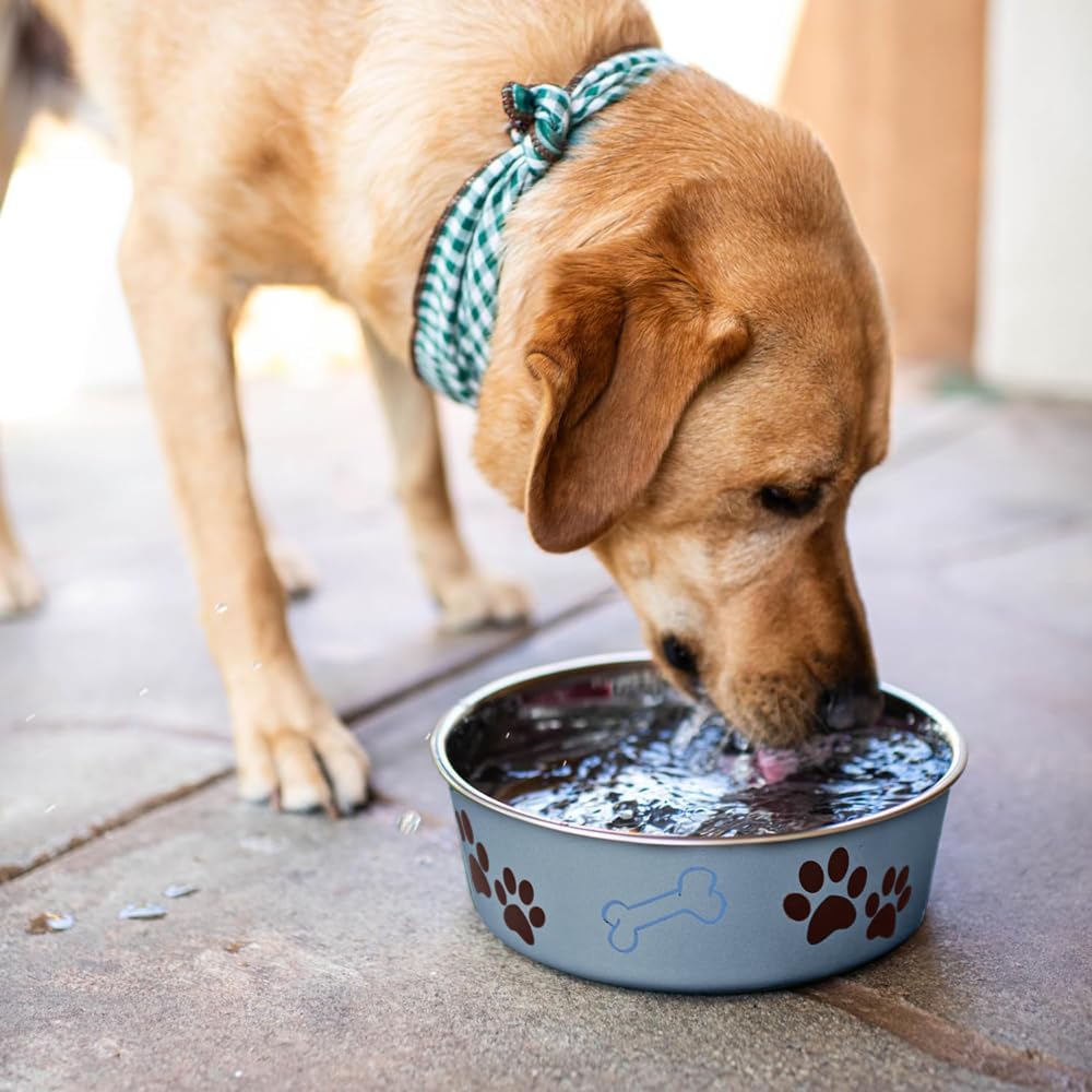 Loving Pets Bella Dog Bowls- Stainless Steel Dog & Cat Bowls - Spill Proof Dog Food Bowl, Cat Bowl, Puppy Essentials & Pet Supplies Great for Home & Travel (X-Large 65-100lbs, Blueberry) 