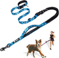 TSPRO Shock Absorbing Hands-Free Bungee Dog Leash with Car Safety Tether