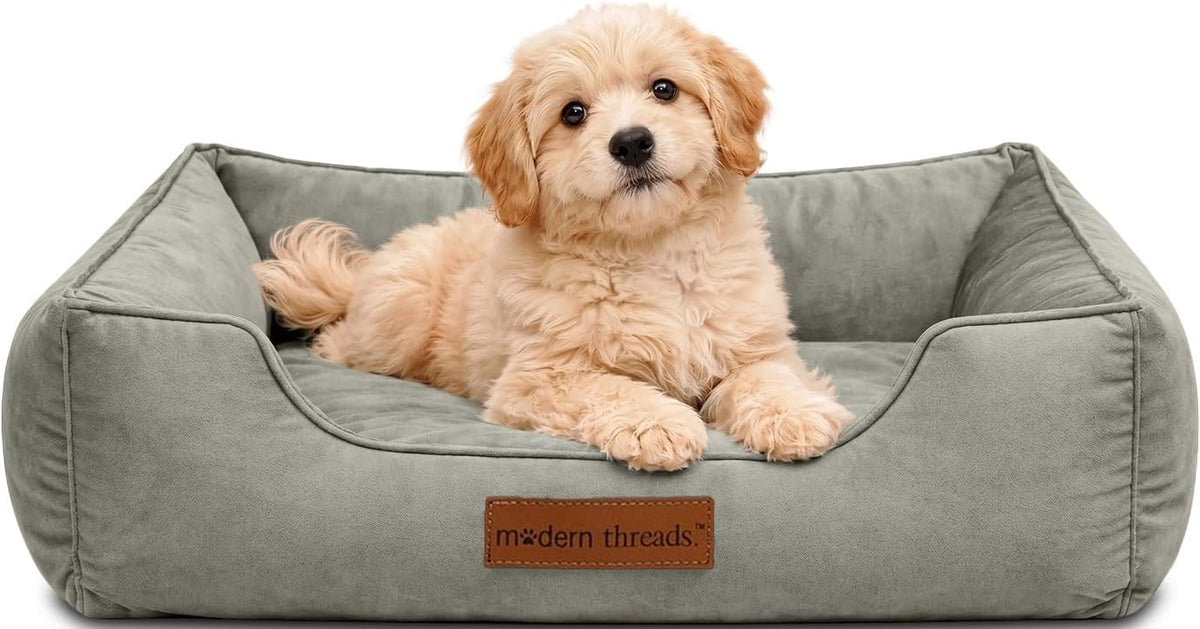 Modern Threads Luxury Dog Bed - Comfortable Tufted Velvet Cushion for Small to Large Dogs - Machine Washable - Durable & Cute Sleep Space for Pets - Pamper Your Pet with Cozy Beds - Light Grey