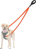 PetBonus Two Point Control Dog Leash, No Tangle Training Walking Leashes