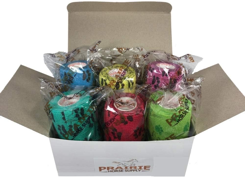 3 Inch Vet Wrap Tape Bulk (Paw Prints Variety) (Pack of 12) Self Adhesive Adherent Adhering Flex Bandage Grip Roll for Dog Cat Pet