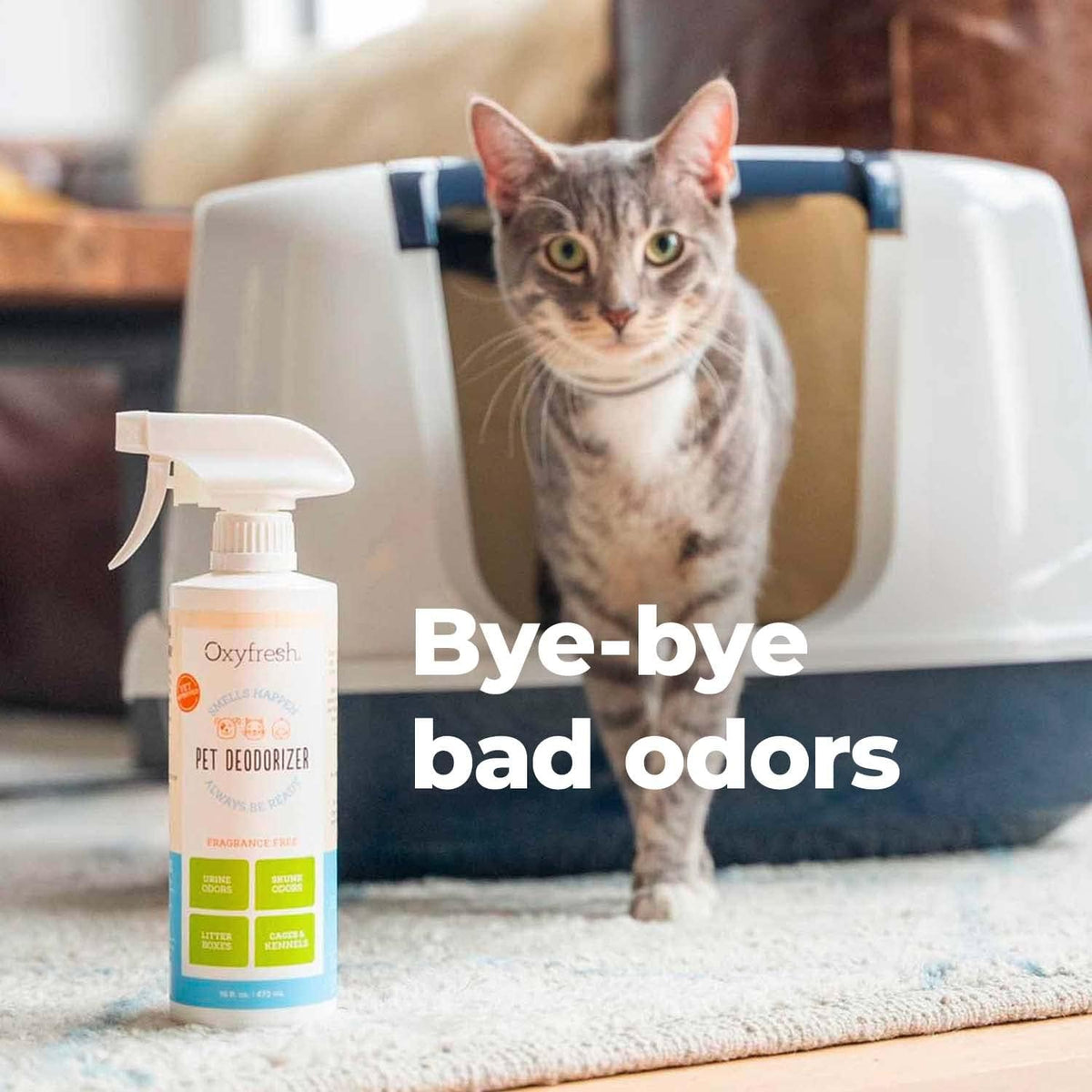 Oxyfresh Extra Strength Dog and Cat Odor Eliminator for Home Spray - Finally Say Goodbye to Stinky Odors - Gently Neutralizes at the Source - Works on Contact - Upholstery & Auto - Safe