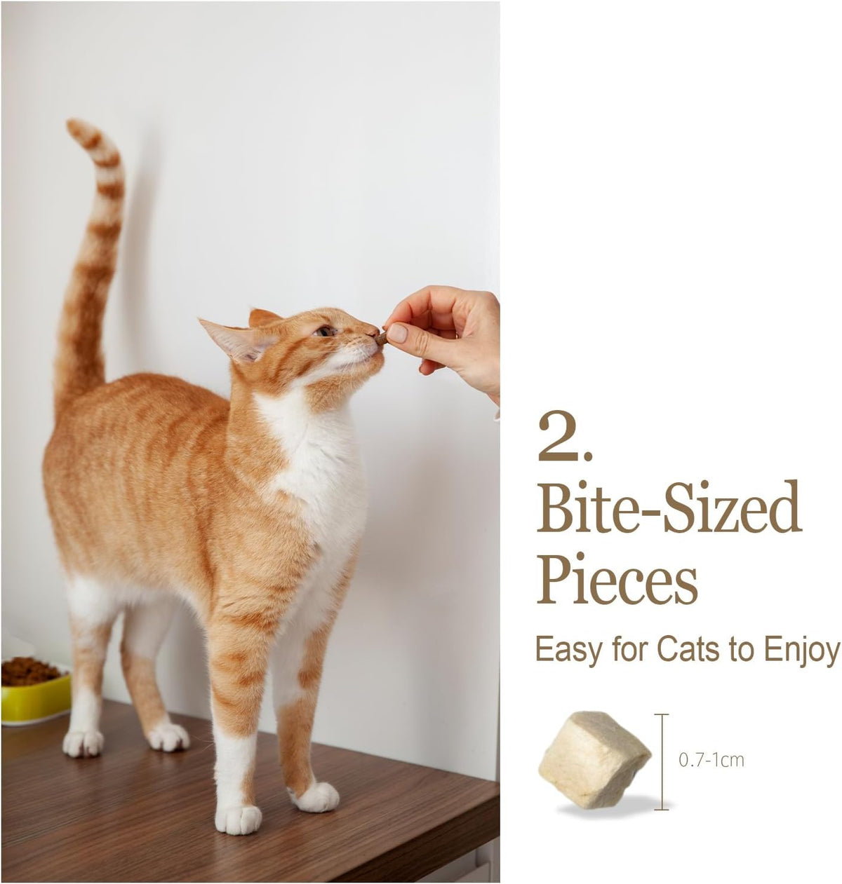 CHÉRIE Freeze-Dried Cat Treats, Chicken Breast, 1.06 oz Bag