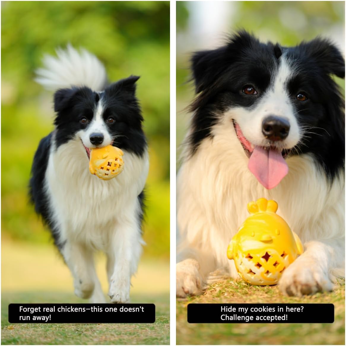 MewaJump Dog Toy Treat Food Dispenser Puzzle Rubber Chew Toys Stuffed Ball
