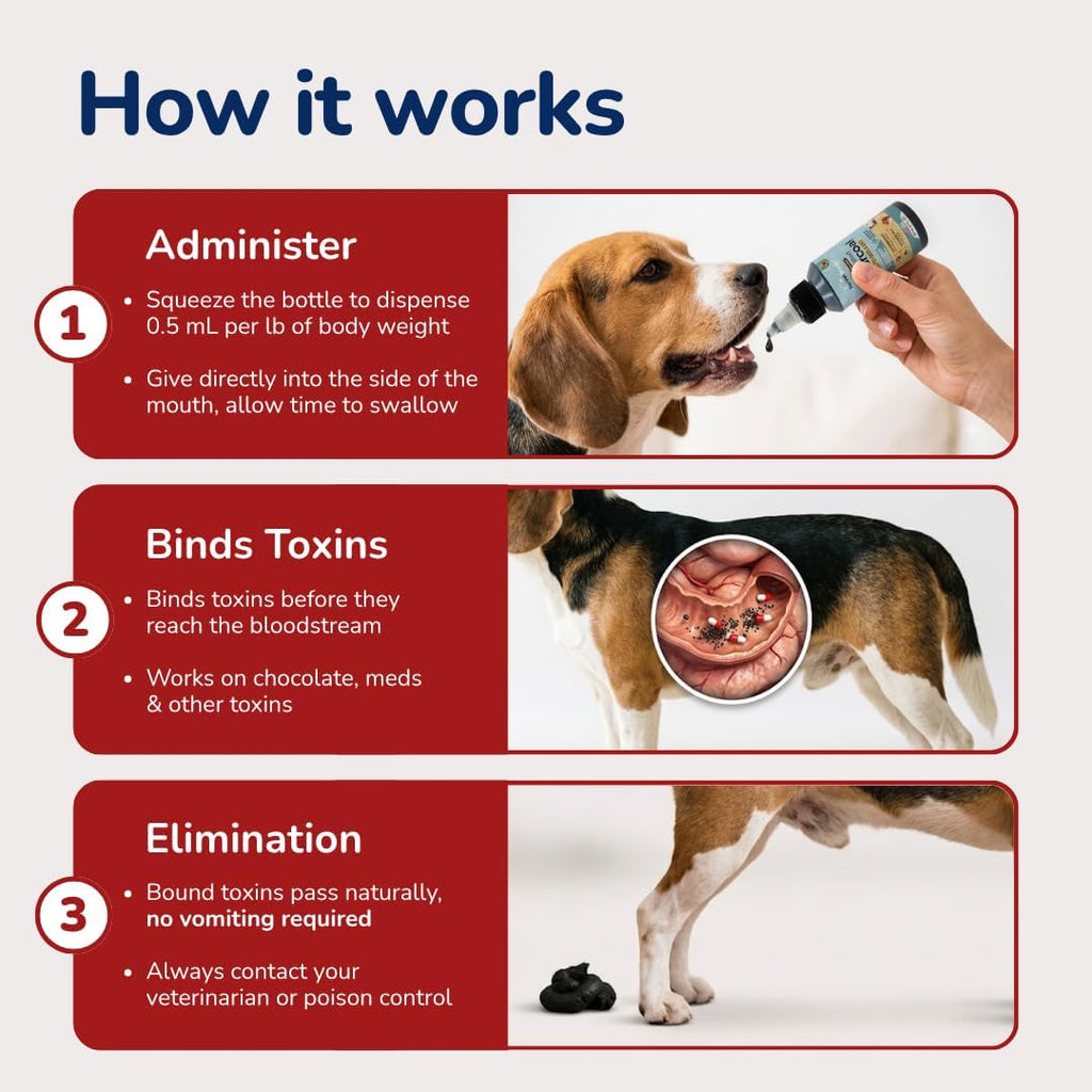 Activated Charcoal for Dogs, Cats & Puppies – Emergency Pet First Aid Gel for Accidental Ingestion, Beef-Flavored Digestive Paste, Veterinarian-Developed, Made in USA, 60 mL