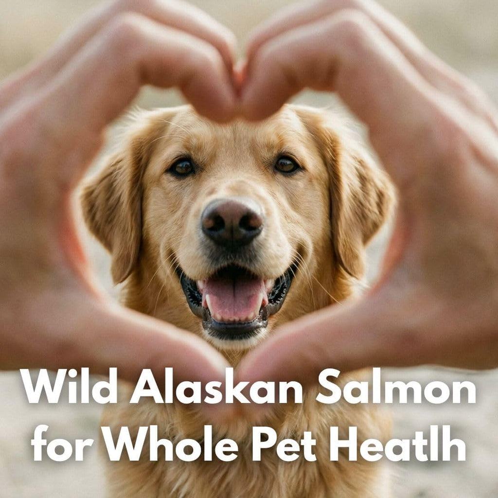 Freeze Dried Sockeye Salmon Pet Treats for Dogs and Cats, 5 Pack