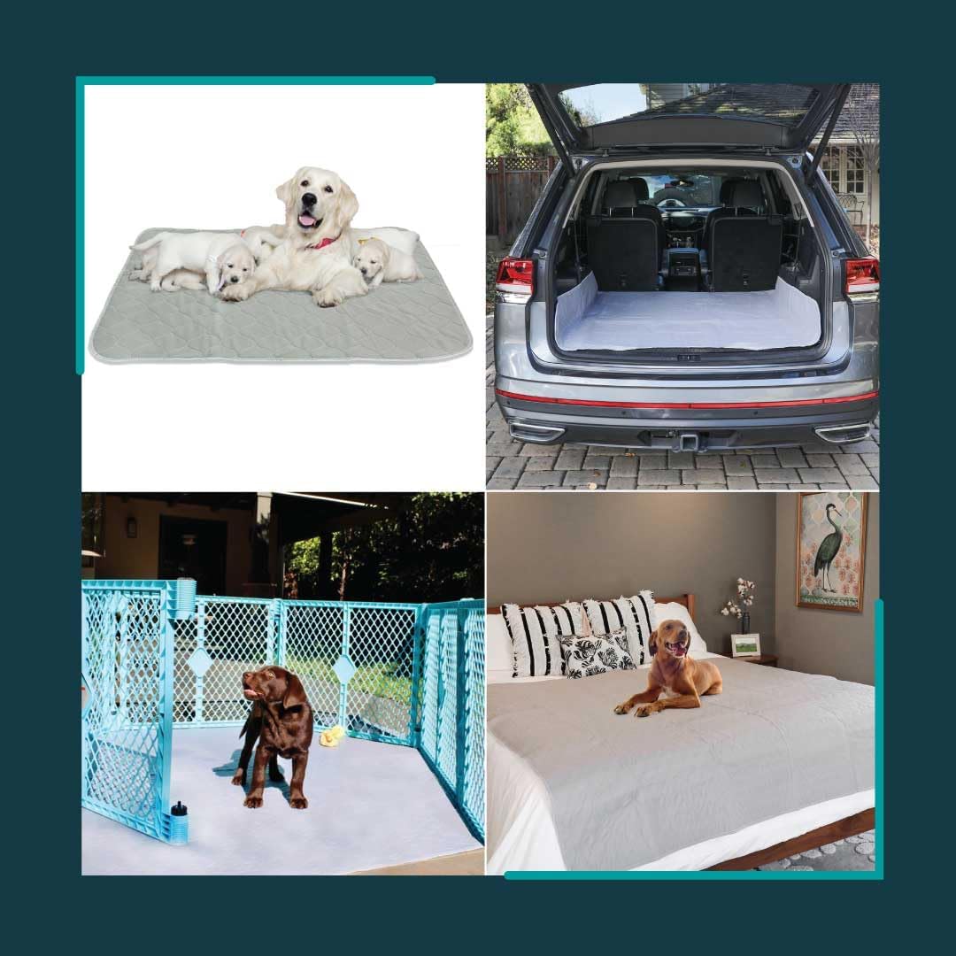 Premium XL Non-Slip, Washable, Leakproof Dog Playpen Mat (60"x60")
