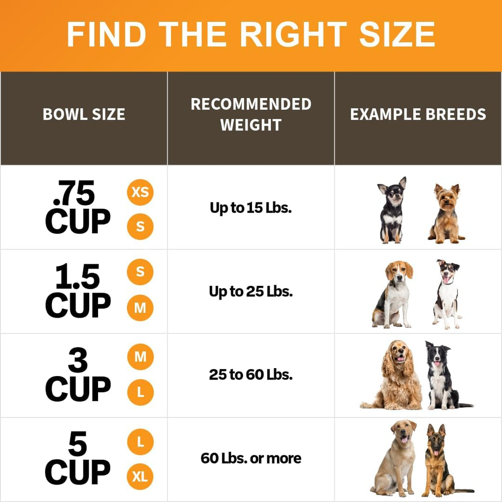 Neater Pet Brands Stainless Steel Slow Feed Bowl - Non-Tip & Non-Skid - Stops Dog Food Gulping, Bloat, Indigestion, and Rapid Eating (3 Cup) 