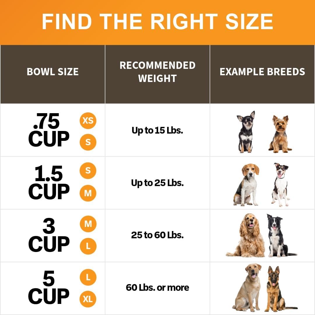 Neater Pet Brands Stainless Steel Slow Feed Bowl - Non-Tip & Non-Skid - Stops Dog Food Gulping, Bloat, Indigestion, and Rapid Eating (3 Cup) 