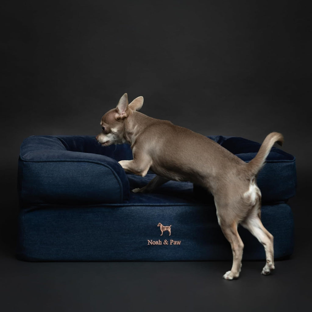 NOAH & PAW Dog Bed, Orthopedic Memory Cooling Foam (2X Base) 28x23x11in