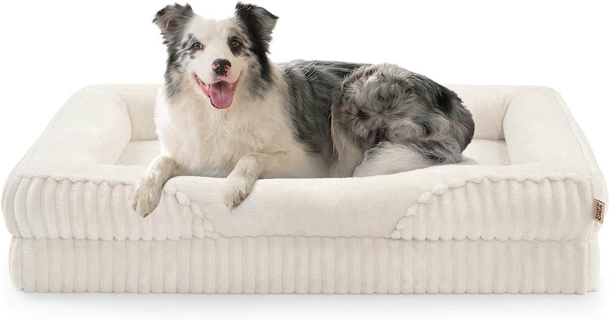EHEYCIGA Orthopedic XL Dog Bed 42x30 Inch, Memory Foam Dog Couch, Cream