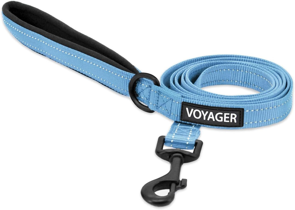 Best Pet Supplies Voyager Nylon Dog Leash - Baby Blue, Medium
