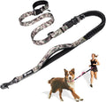 TSPRO Shock Absorbing Hands-Free Bungee Dog Leash with Car Safety Tether