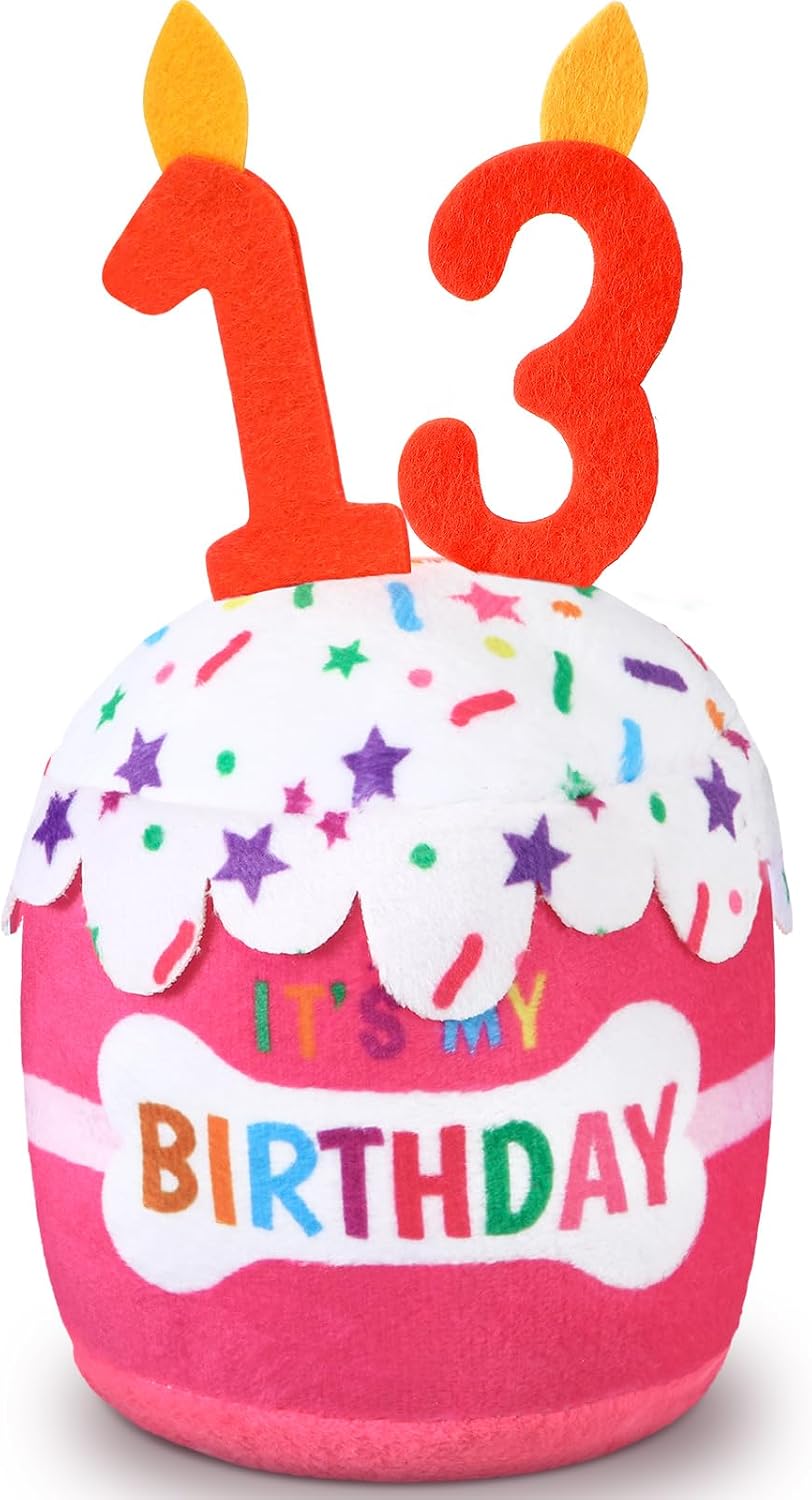 Dansydaisy Dog Birthday Cake Toy Squeaky Plush Gift,13th,Pink | Interactive Squeaky Gift for Dogs, Dog Birthday Decor , Soft Chew for Small Medium Large Pets, Cake Design with Candle