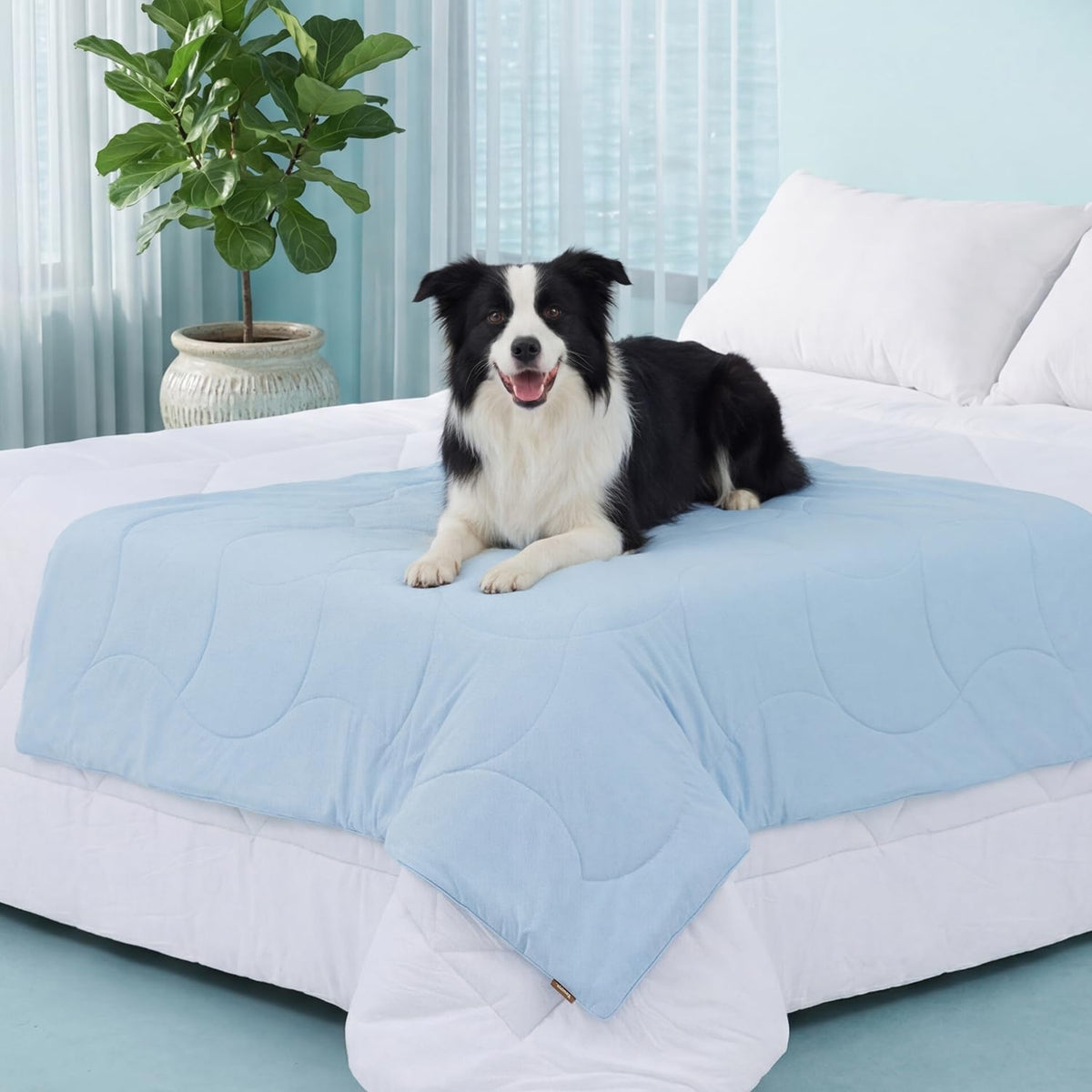 ZOMISIA Premium Cooling Blanket for Large Dogs - Q-MAX>0.5 Breathable Washable Dog Cooling Mat, Travel Soft Pet Summer Essentials, Blue, 50"x60"
