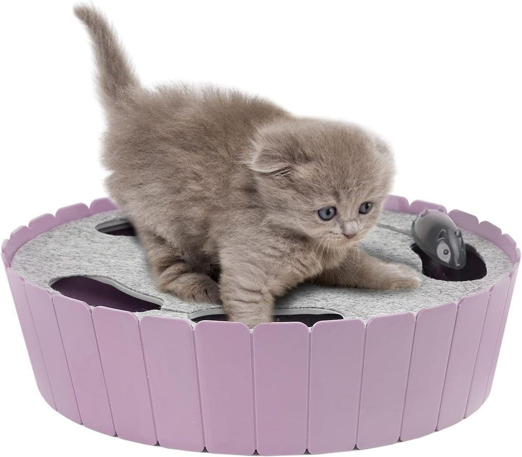 Pawaboo Interactive Cat Toy with Running Mouse, Automatic Track Kitten Toy