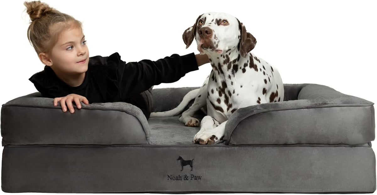 NOAH & PAW Large Dog Bed, Orthopedic Memory Cooling Foam (2X Base) 45x35x11