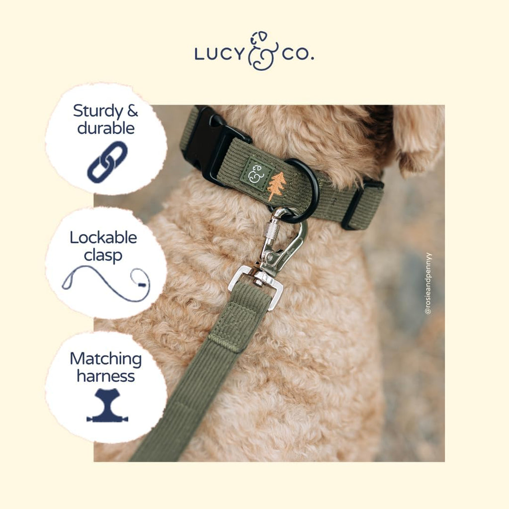 Lucy & Co. Take a Hike Corduroy Dog Leash, L