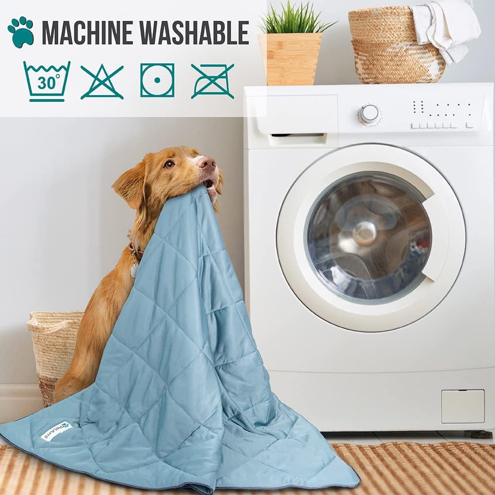 PetAmi Cooling Dog Blanket Lightweight Soft for Large Pet Cat, 40x60, Blue