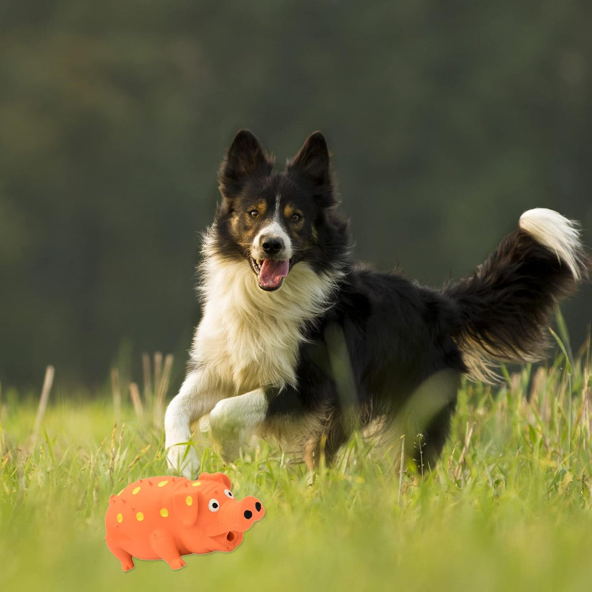 Squeaky Pig Dog Toy, 2 PCS Durable Latex Rubber Dog Toys for Chewing
